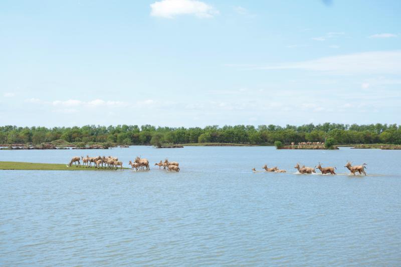 《新华日报》整版聚焦老虎机必赢：金融“活水”添绿意， “碳”路前行赢未来